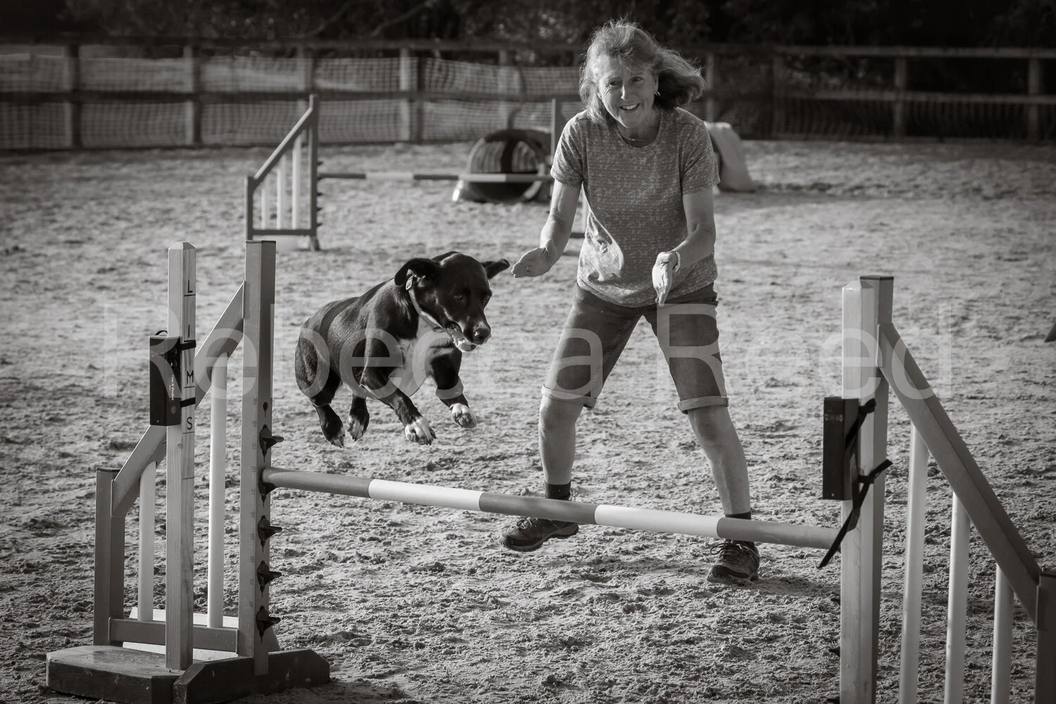 Agility photography 2024